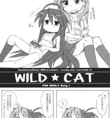 Bokep WILD CAT- Lucky star hentai Boobies